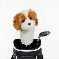 Daphne Cavapoo Headcover